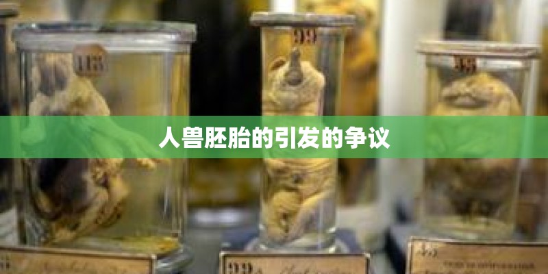 人兽胚胎的引发的争议
