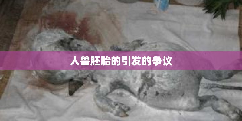 人兽胚胎的引发的争议