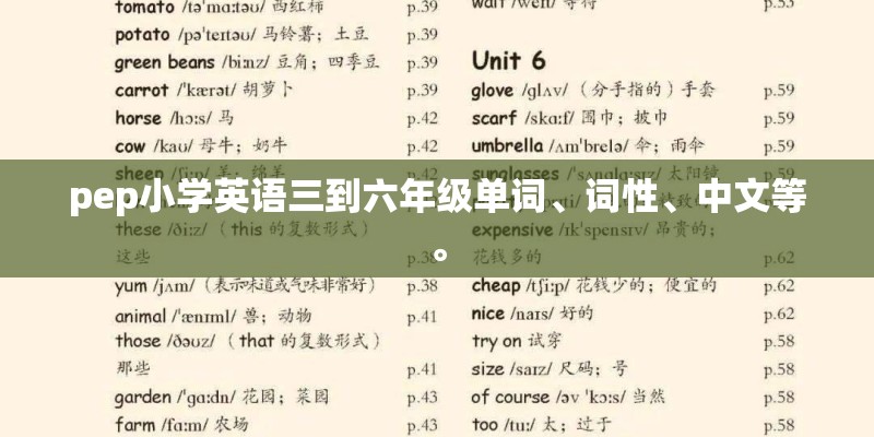 pep小学英语三到六年级单词、词性、中文等。