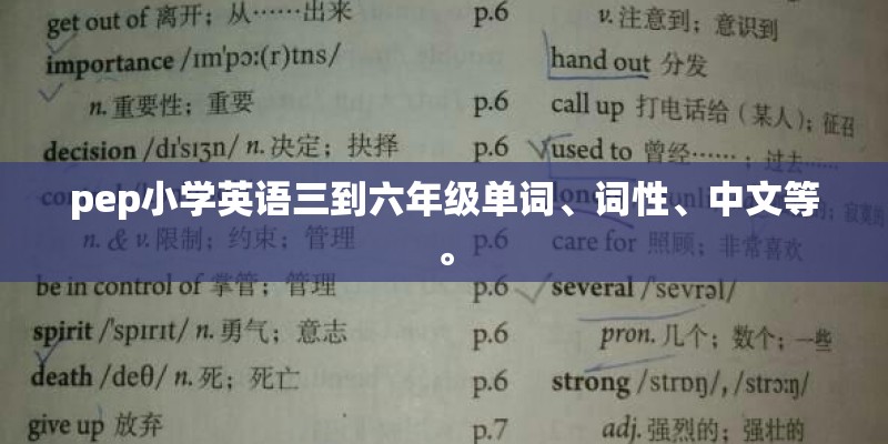 pep小学英语三到六年级单词、词性、中文等。