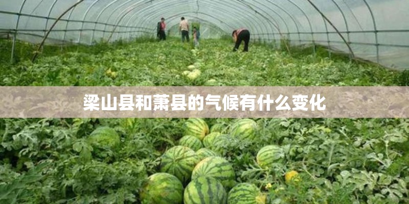 梁山县和萧县的气候有什么变化