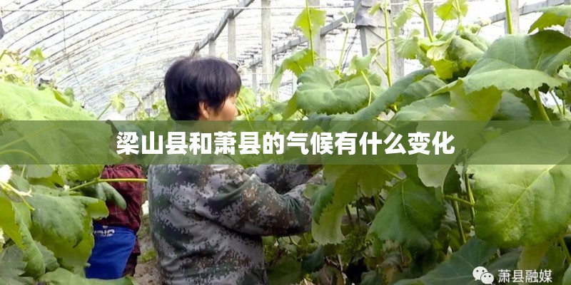 梁山县和萧县的气候有什么变化