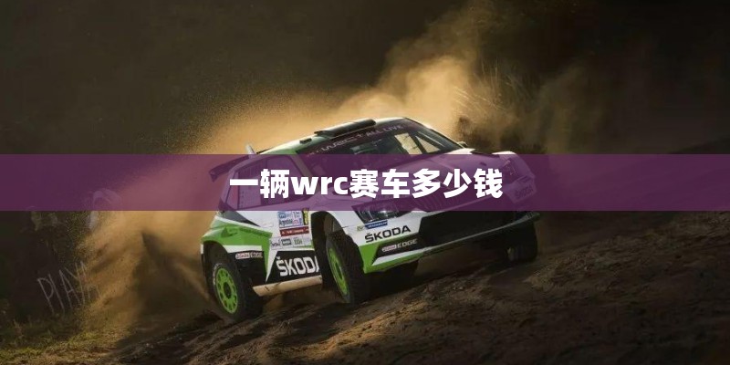 一辆wrc赛车多少钱