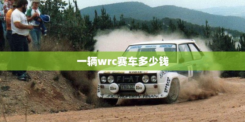 一辆wrc赛车多少钱