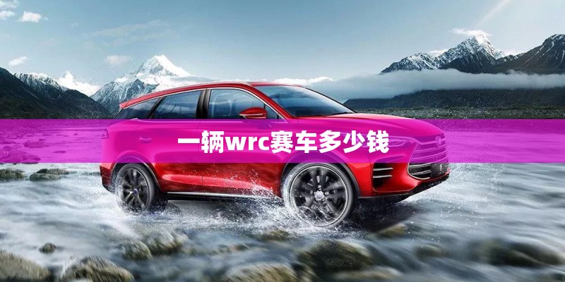 一辆wrc赛车多少钱