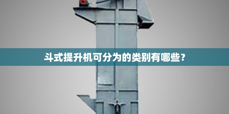 斗式提升机可分为的类别有哪些？