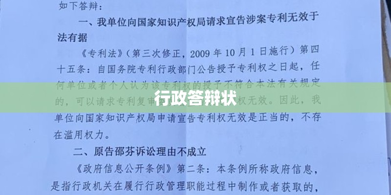 行政答辩状