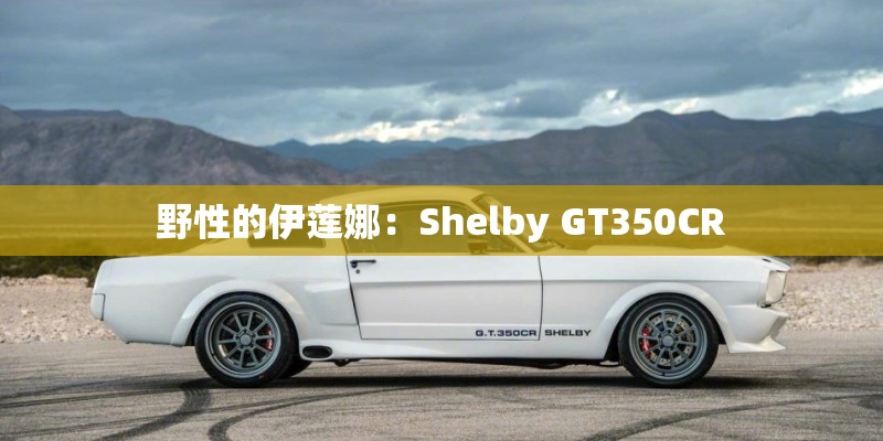 野性的伊莲娜：Shelby GT350CR