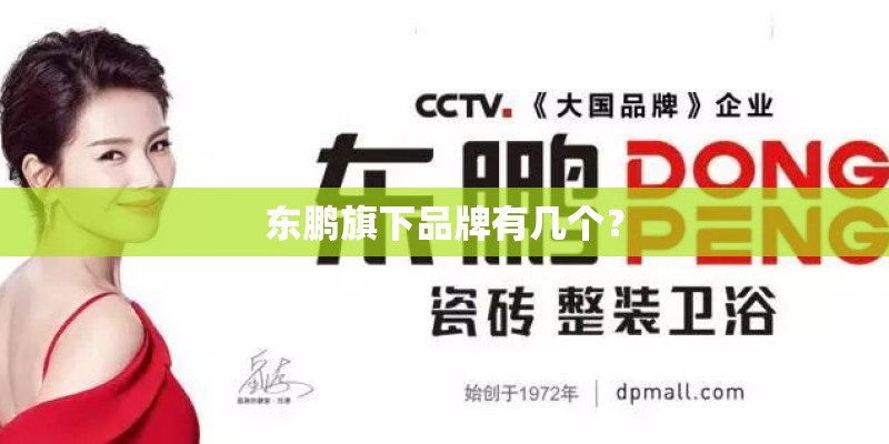 东鹏旗下品牌有几个？