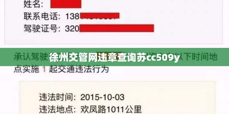 徐州交管网违章查询苏cc509y