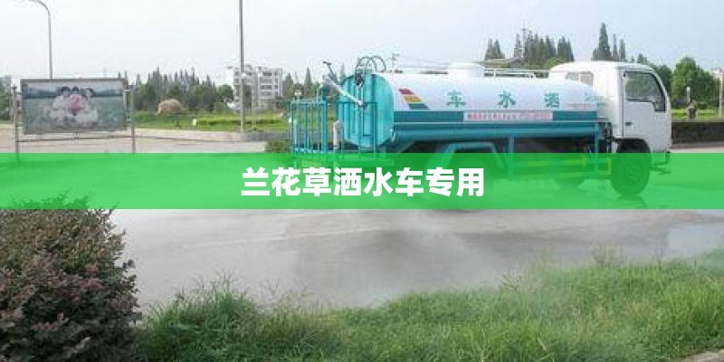 兰花草洒水车专用