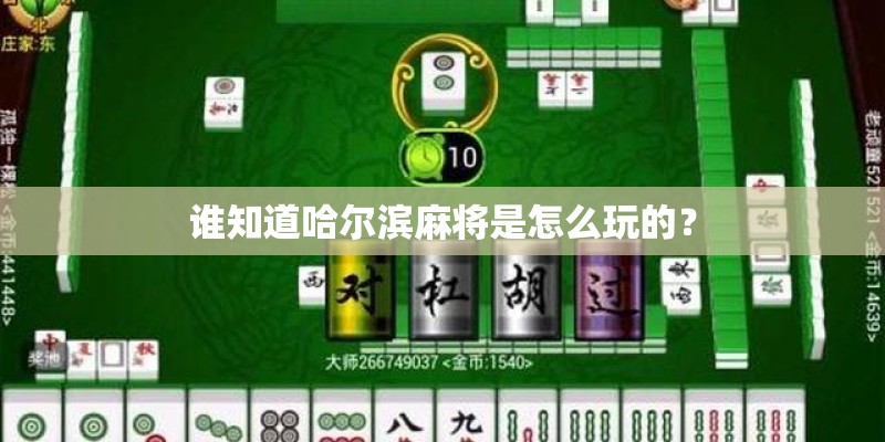 谁知道哈尔滨麻将是怎么玩的？