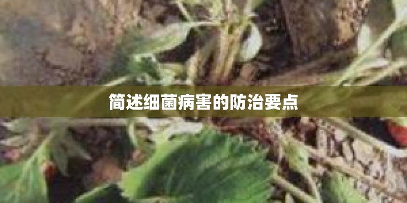 简述细菌病害的防治要点