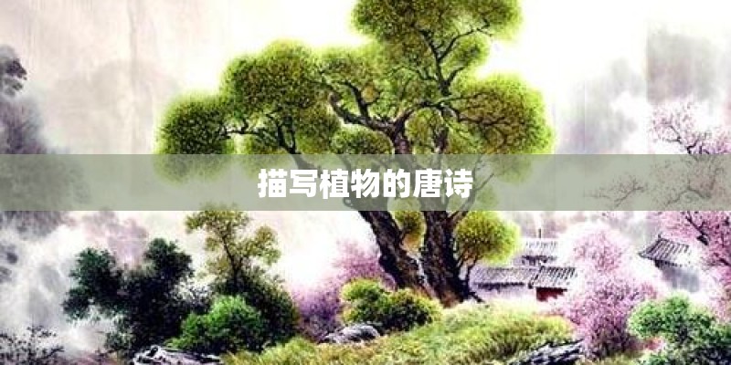 描写植物的唐诗