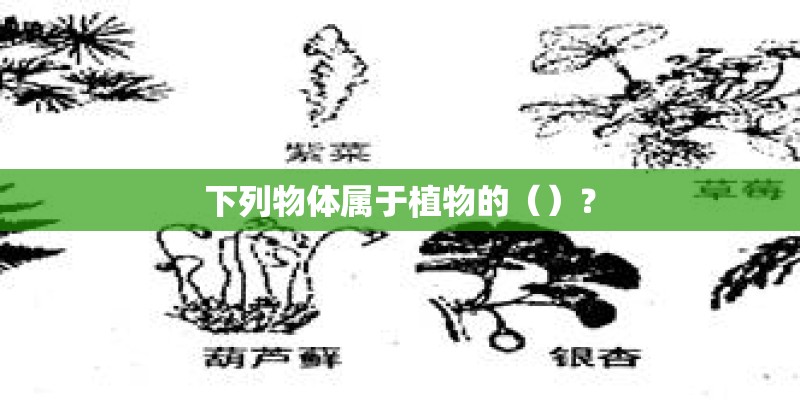 下列物体属于植物的()? 下列物体属于植物的()?