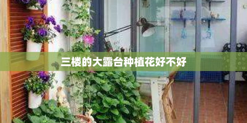 三楼的大露台种植花好不好