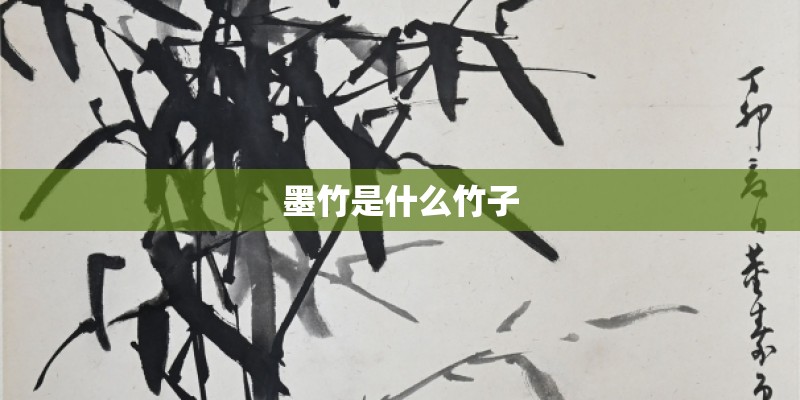 墨竹是什么竹子