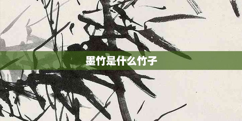 墨竹是什么竹子