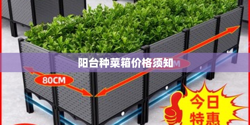 阳台种菜箱价格须知