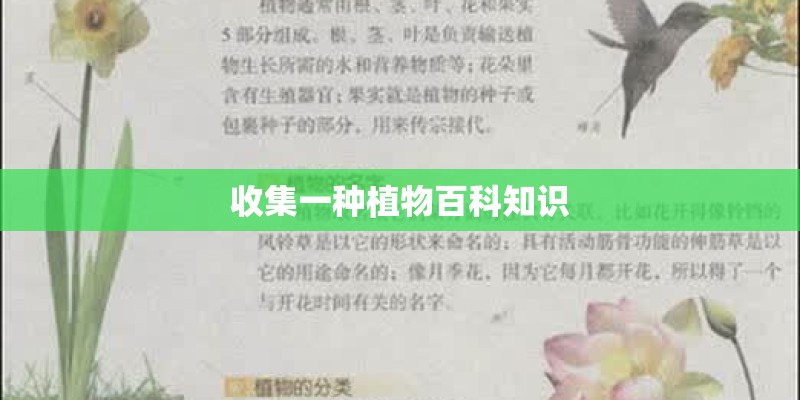收集一种植物百科知识
