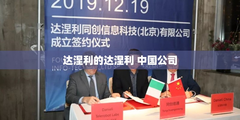 达涅利的达涅利 中国公司