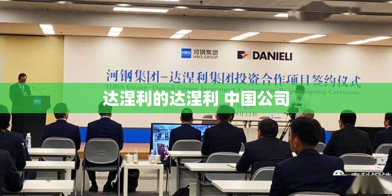 达涅利的达涅利 中国公司