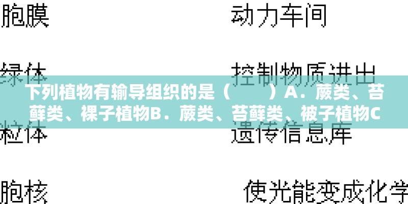 下列植物有输导组织的是（　　）A．蕨类、苔藓类、裸子植物B．蕨类、苔藓类、被子植物C．蕨类、裸子植物