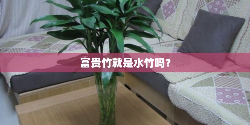 富贵竹就是水竹吗? 富贵竹就是水竹吗?