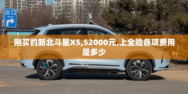 刚买的新北斗星X5,52000元,上全险各项费用是多少