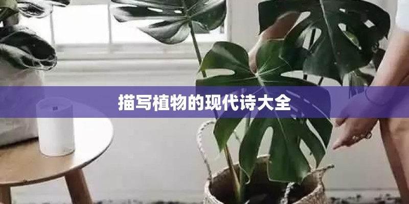描写植物的现代诗大全
