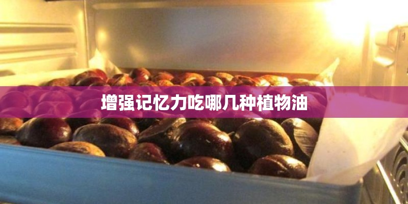 增强记忆力吃哪几种植物油
