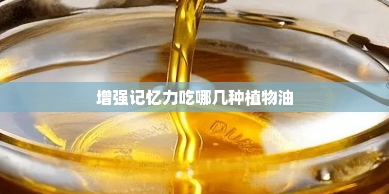 增强记忆力吃哪几种植物油