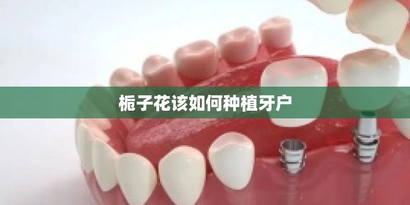 栀子花该如何种植牙户