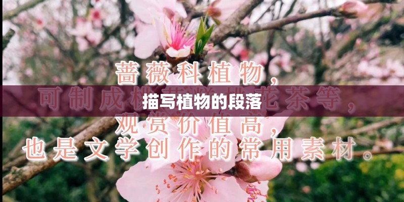 描写植物的段落