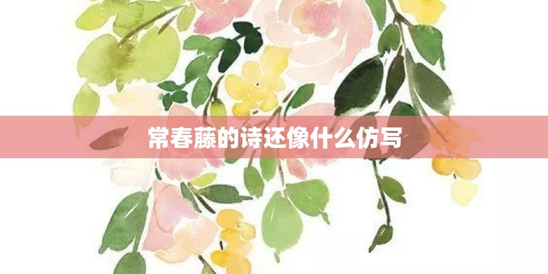 常春藤的诗还像什么仿写