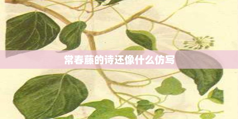 常春藤的诗还像什么仿写