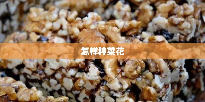 怎样种菜花