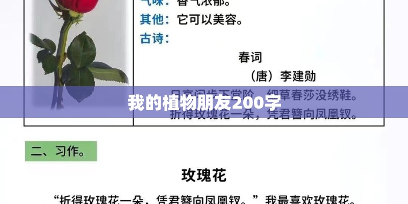 我的植物朋友200字