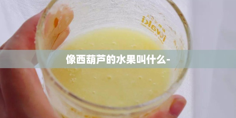 像西葫芦的水果叫什么-