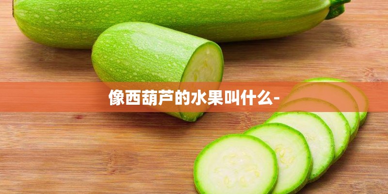 像西葫芦的水果叫什么-