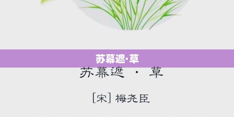 苏幕遮·草