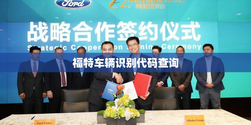 福特车辆识别代码查询