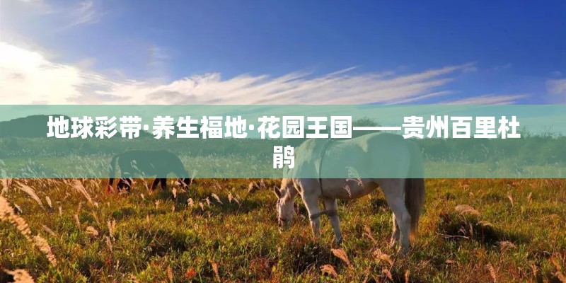 地球彩带·养生福地·花园王国——贵州百里杜鹃