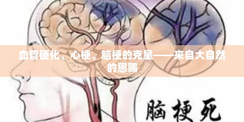 血管硬化、心梗、脑梗的克星——来自大自然的恩赐