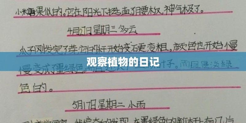 观察植物的日记