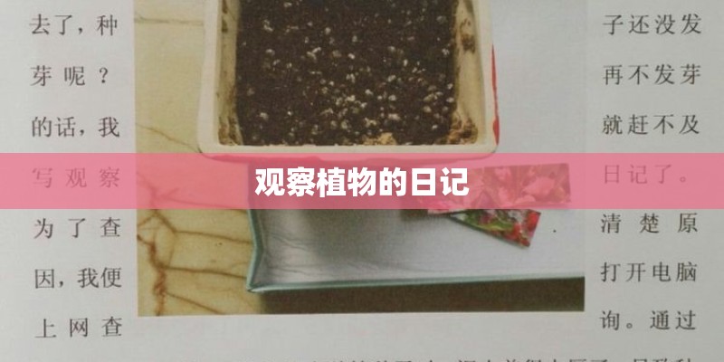 观察植物的日记