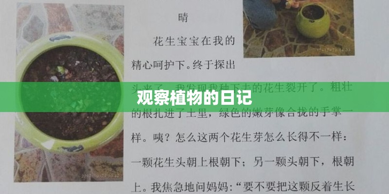 观察植物的日记