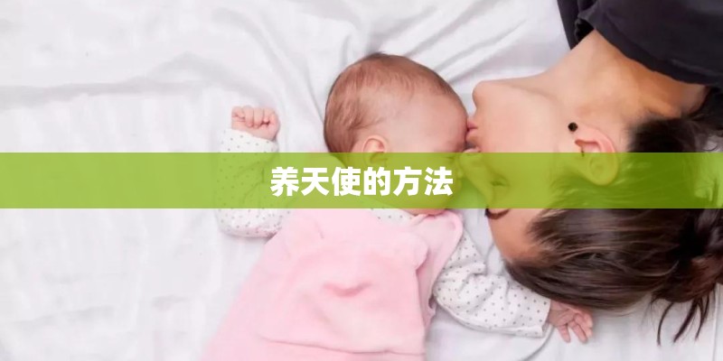 养天使的方法
