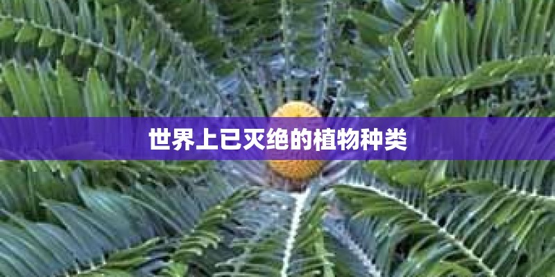 世界上已灭绝的植物种类