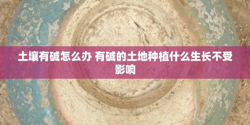 土壤有碱怎么办 有碱的土地种植什么生长不受影响